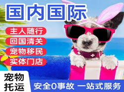汉中城固空运公司国际宠物托运 【国